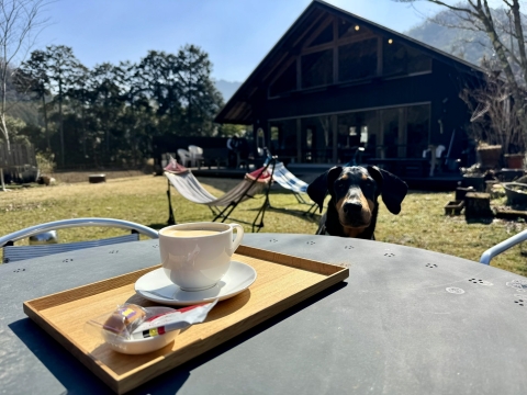 ��ŃR�[�q�[�^�C��