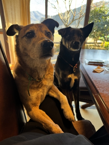 2�l�Ƃ��ϋɓI