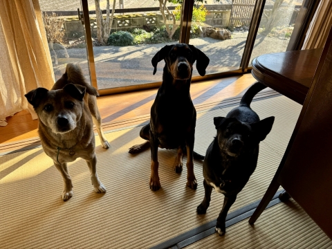 3S������