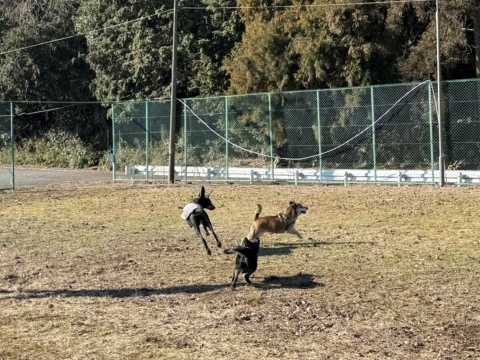 3���ő���