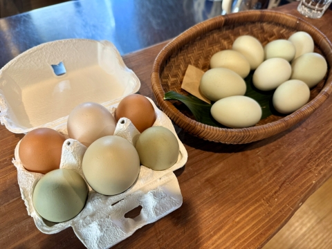 �y�Y�ɐV�N���𒸂���