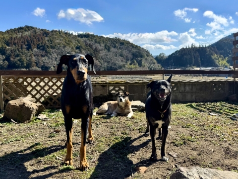 �ۂ��ۂ��z�C�̒�ł����𒆐S��