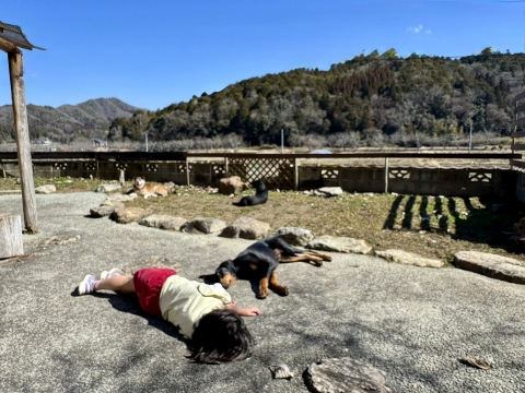 �Ȃ�Ƃ����a�Ȍ��i