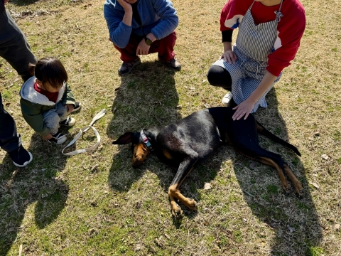 �c��ڂ̂������������Ă���