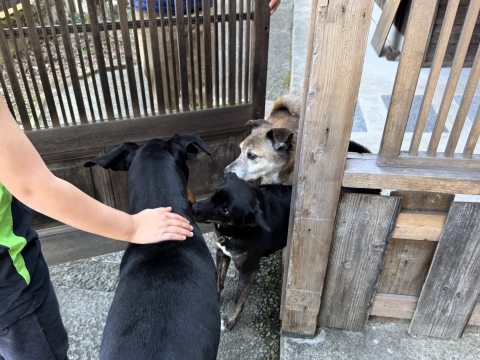 �����ƃu���[���o�}��