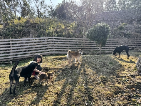 ��̃h�b�O�����ł��V��